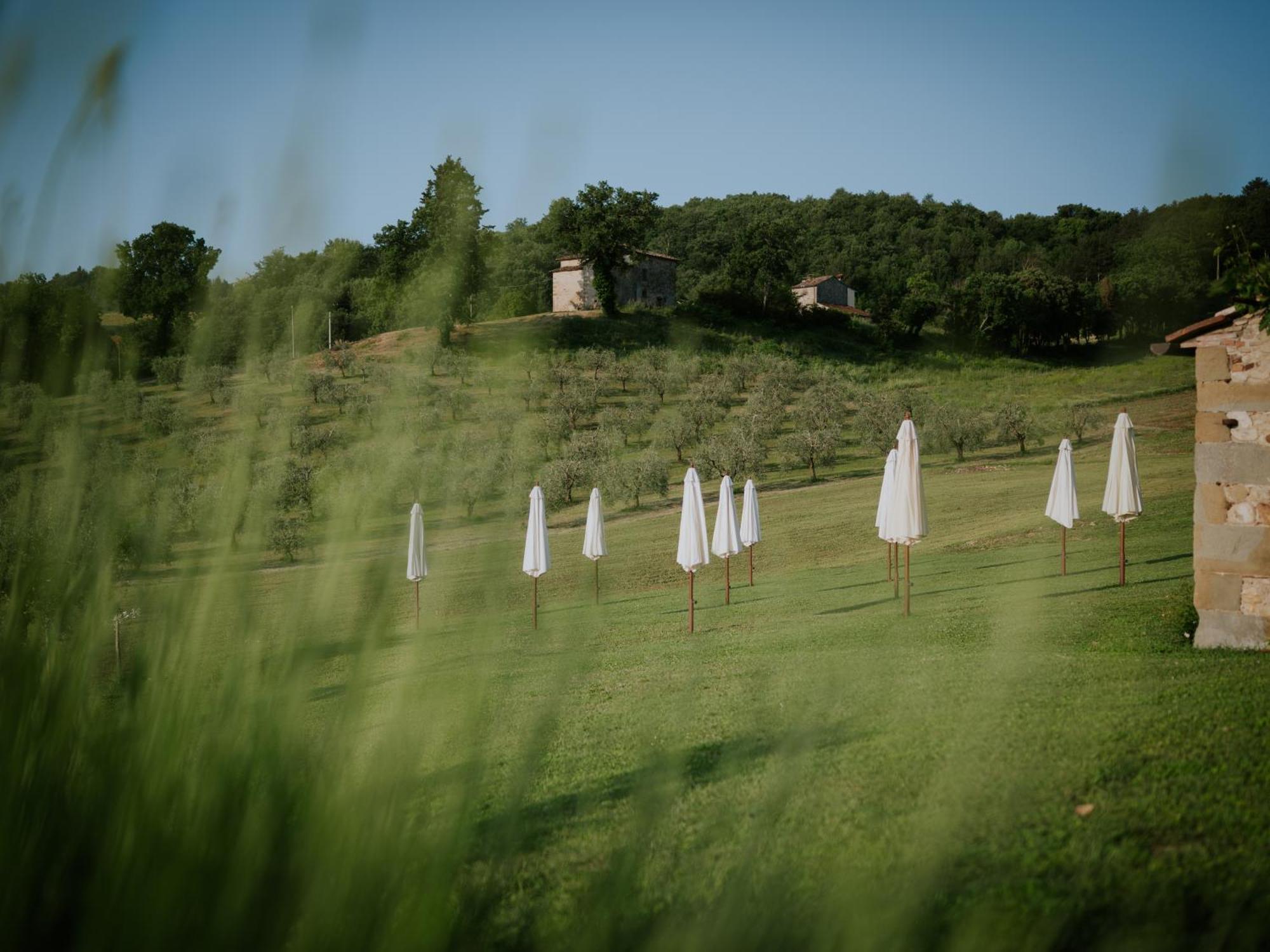 Agriturismo Podere Tovari 安吉亚里 外观 照片