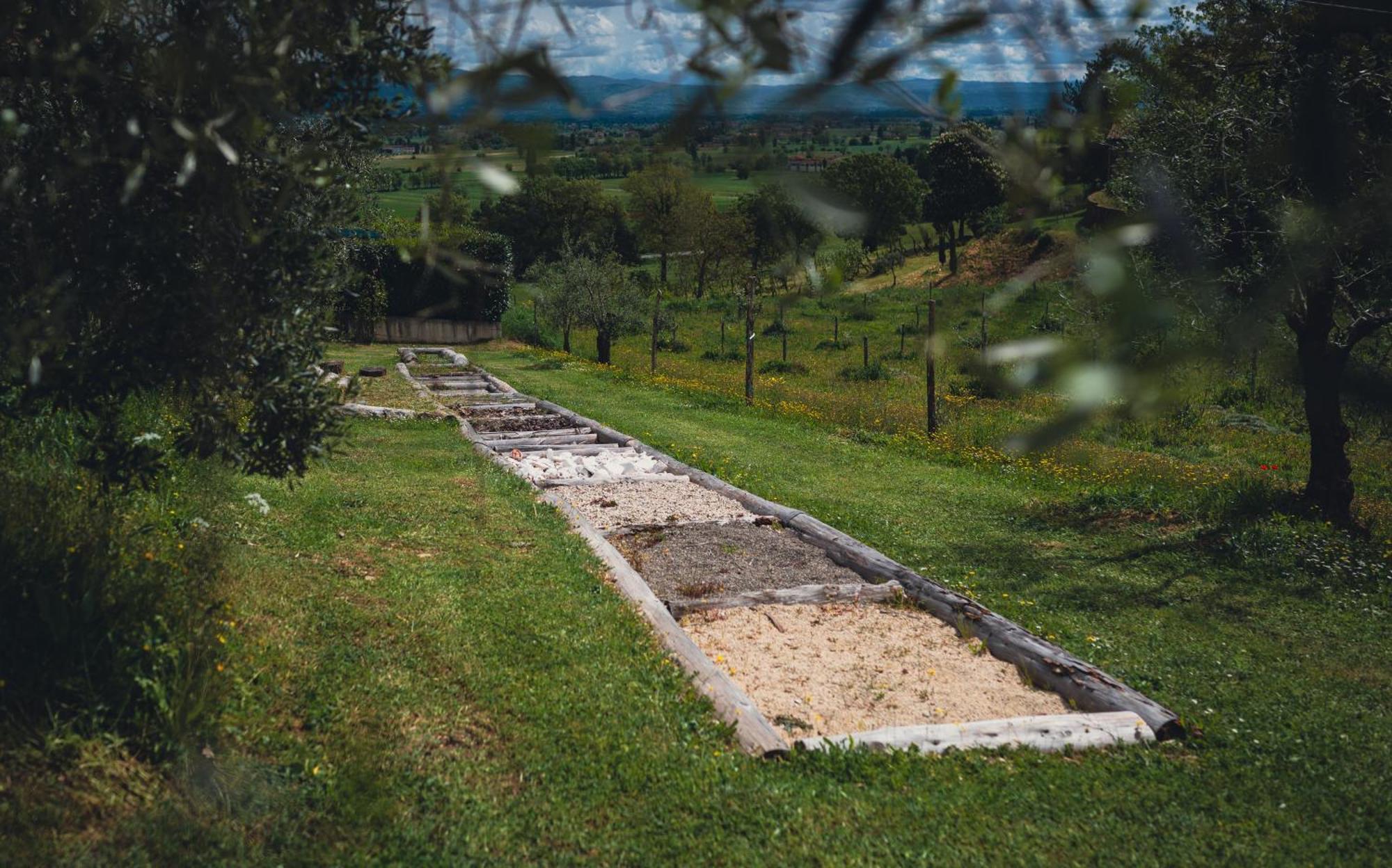 Agriturismo Podere Tovari 安吉亚里 外观 照片